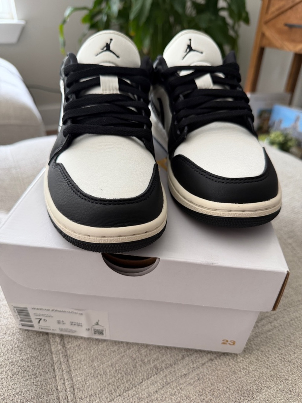 Jordan Low Top Sneakers in Black and White